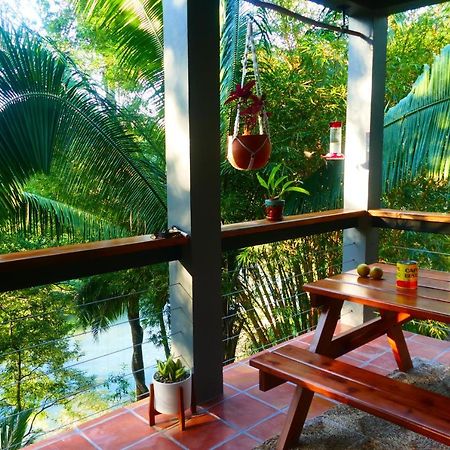Riverhill Hideaway Monkey Fall 외부 사진