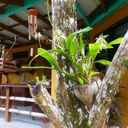 Riverhill Hideaway Monkey Fall 외부 사진