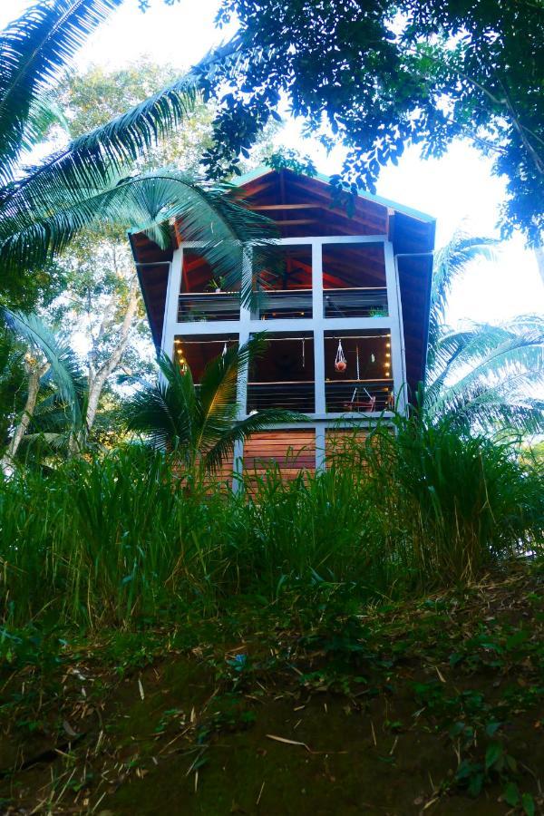 Riverhill Hideaway Monkey Fall 외부 사진