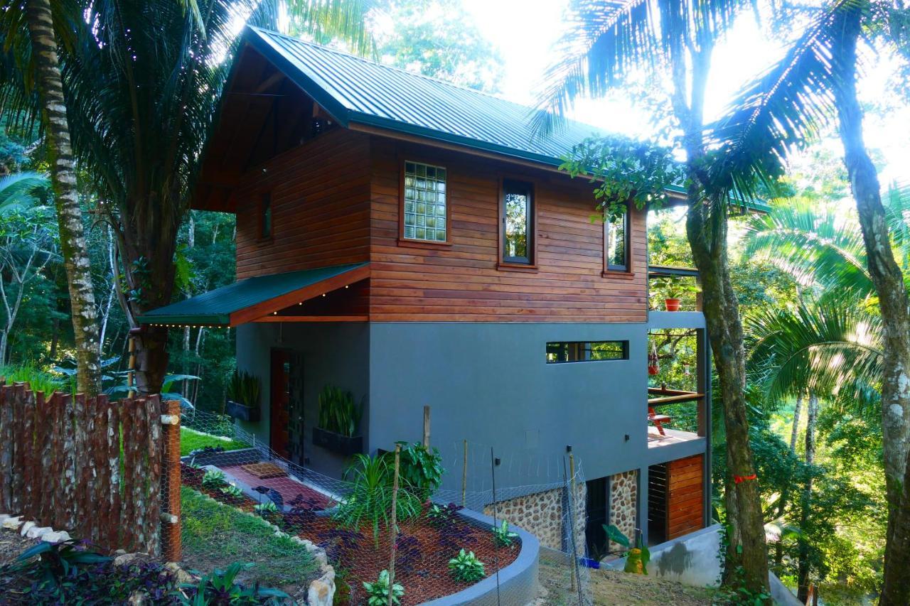 Riverhill Hideaway Monkey Fall 외부 사진