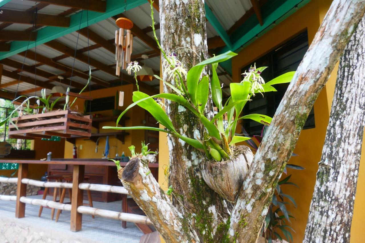 Riverhill Hideaway Monkey Fall 외부 사진