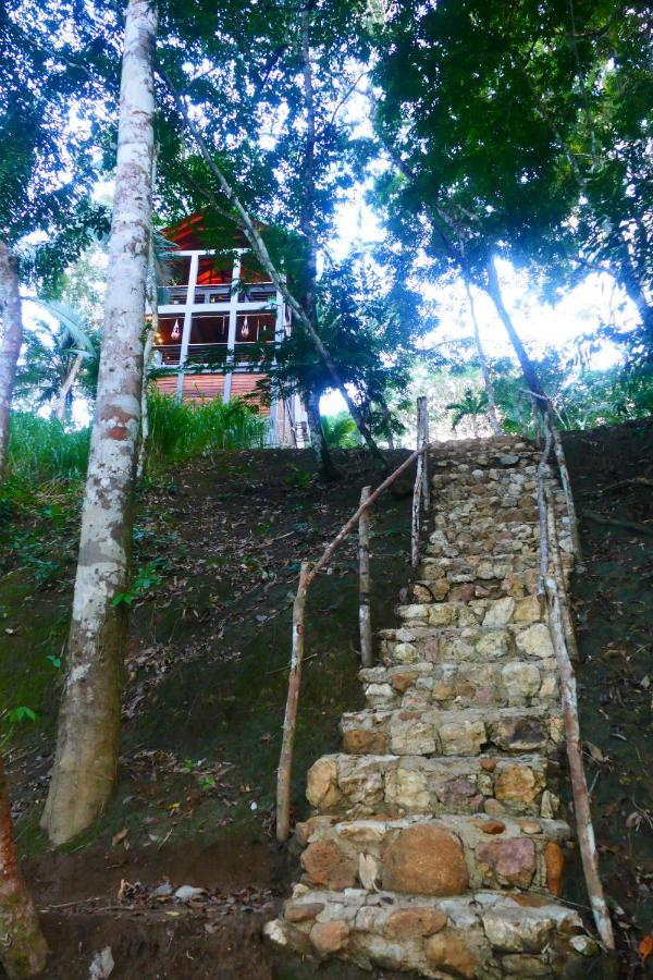Riverhill Hideaway Monkey Fall 외부 사진