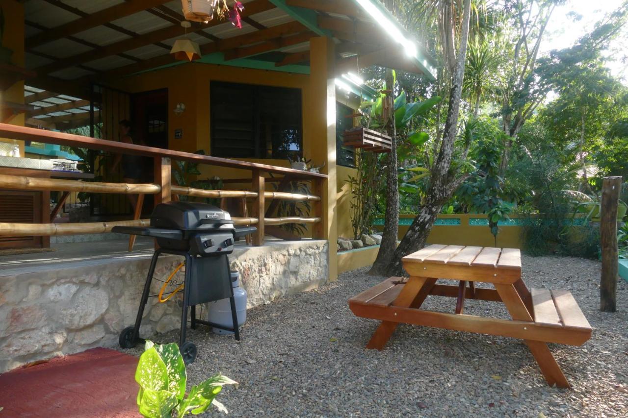 Riverhill Hideaway Monkey Fall 외부 사진