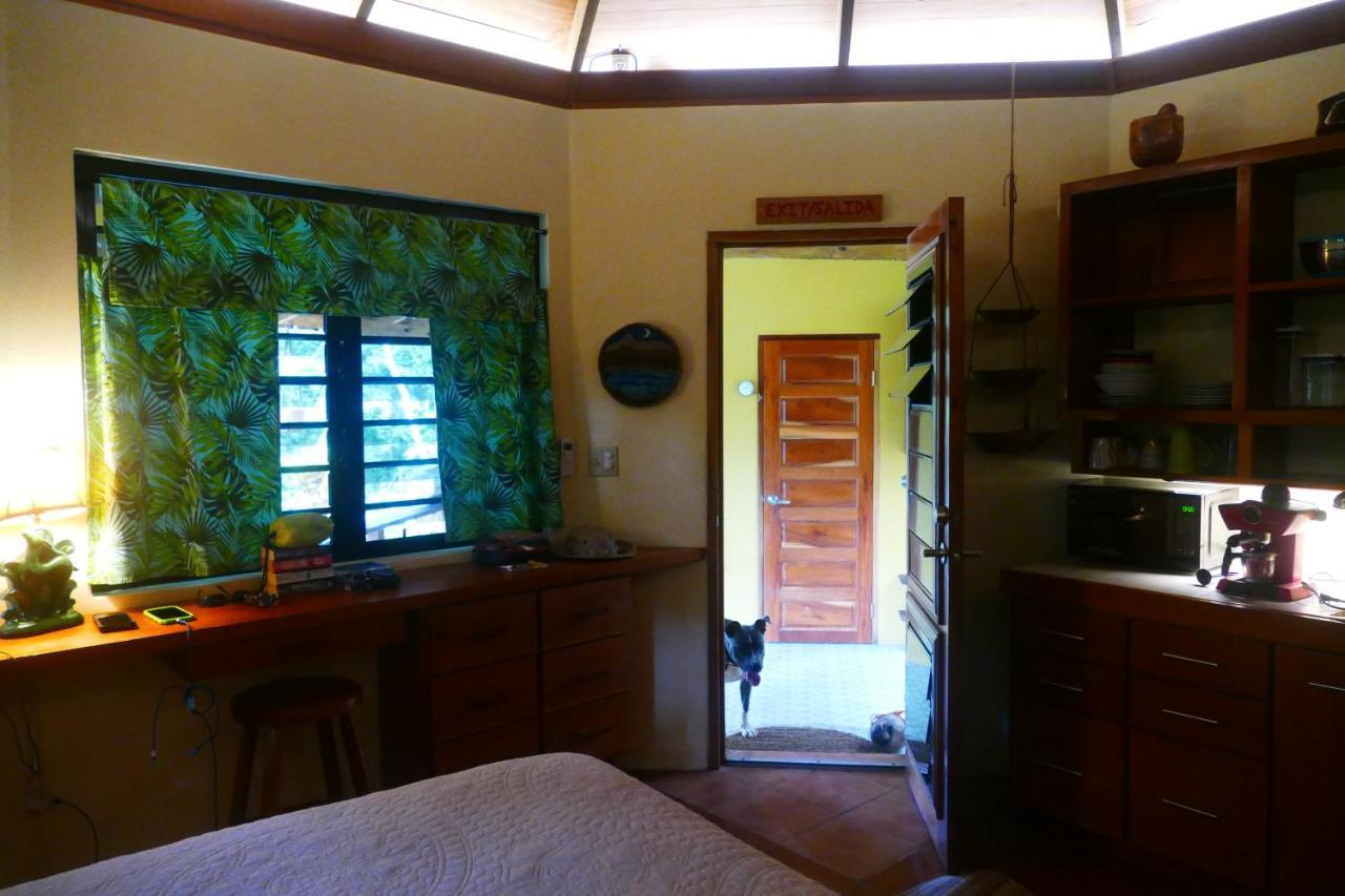 Riverhill Hideaway Monkey Fall 외부 사진