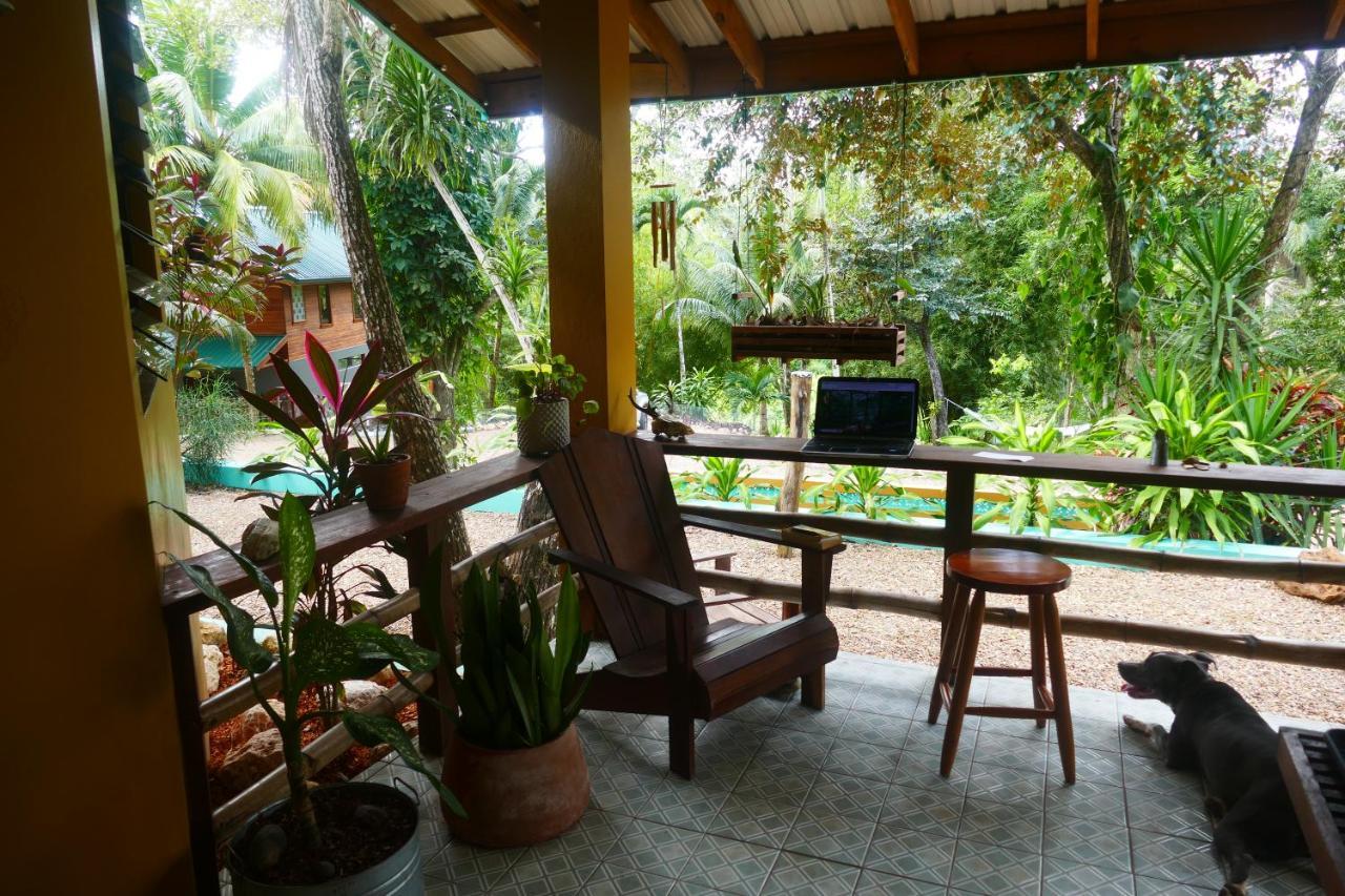 Riverhill Hideaway Monkey Fall 외부 사진